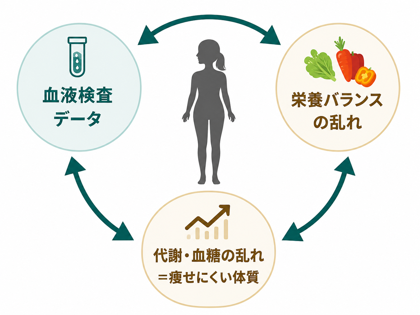 血液検査データ・栄養バランスの乱れ・代謝血糖の乱れの関係図